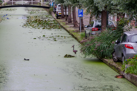 September 2015 16:58