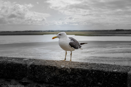 September 2019 13:05