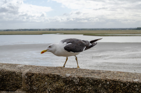 September 2019 13:05