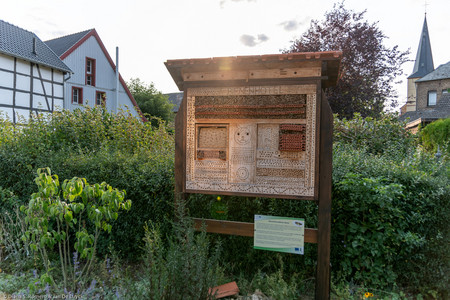 September 2020 17:56