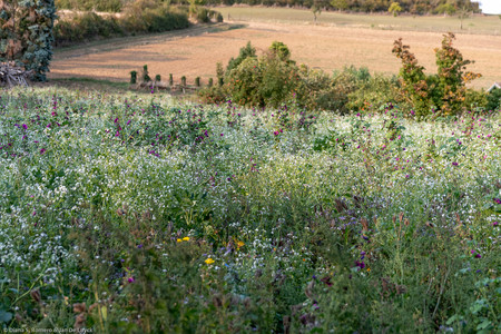 September 2020 17:57