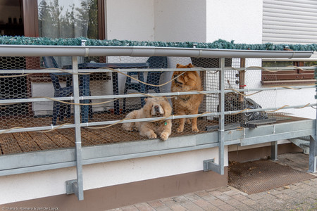 September 2020 11:11