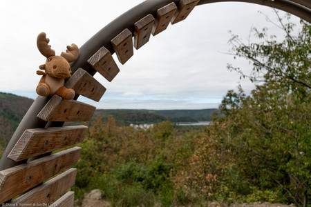 September 2020 13:02