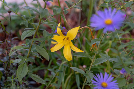 September 2020 18:40