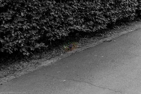 September 2020 19:29