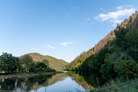 September 2020 17:41