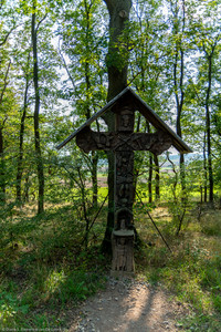 September 2020 15:50