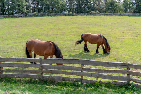 September 2020 15:53