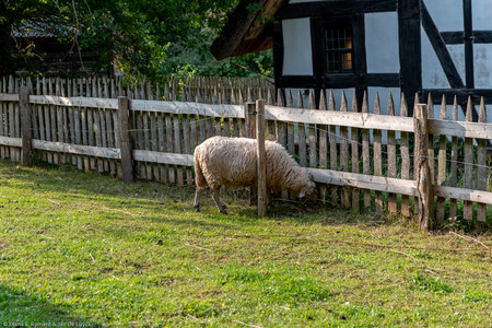 September 2020 16:40