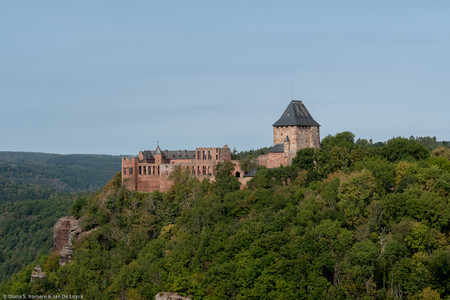 September 2020 12:05