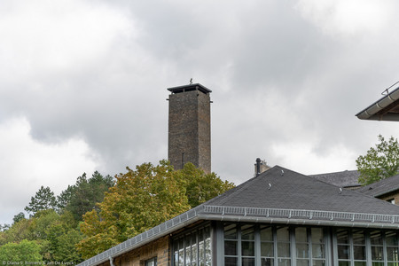 September 2020 14:42