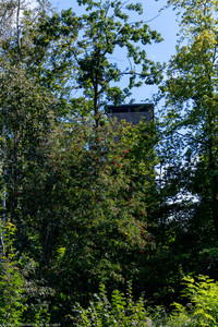 September 2020 14:55