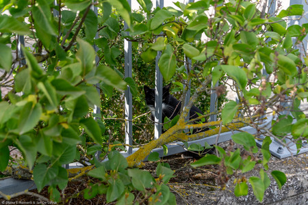 September 2020 18:00