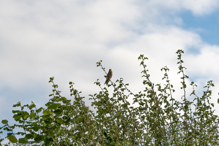 September 2020 18:12