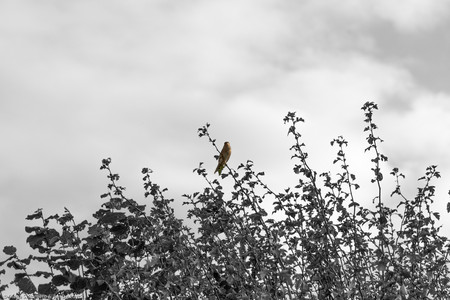 September 2020 18:12