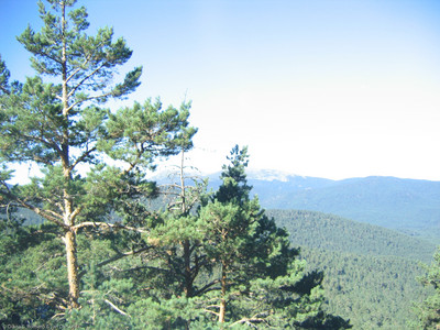 September 2005 12:03