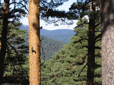 September 2005 12:06